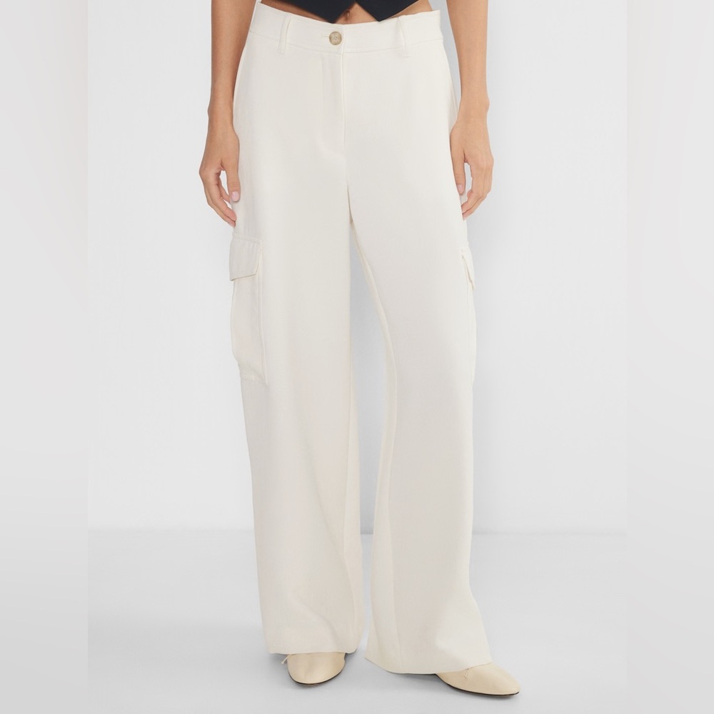 Aritzia Wilfred Bridger Cargo Pants